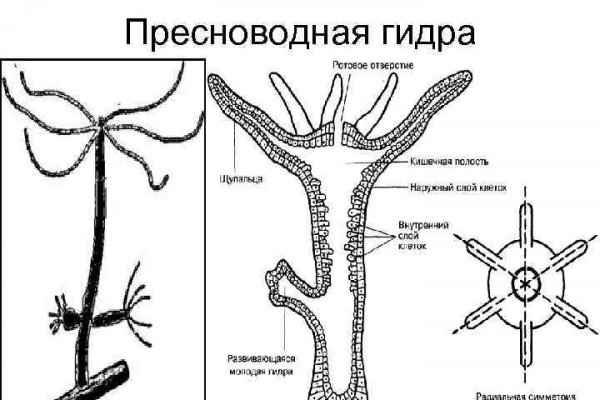 Kraken шоп kr2web in